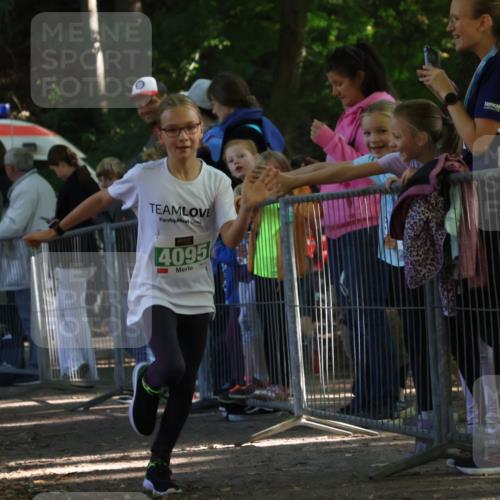 28.09.2025 - 33. Volkslauf durch das schöne Alstertal Strokosch-Dieckow http://msf.ph/oto/8962748 28.09.2025 10:58:43 Ziel 4095 meine-sportfotos.de