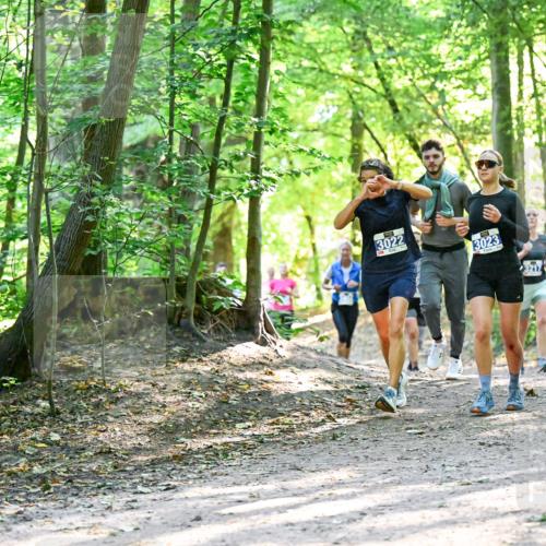 28.09.2025 - 33. Volkslauf durch das schöne Alstertal Dr. Thomas Lammeyer http://msf.ph/oto/8962749 28.09.2025 11:12:29 Laufen 3022, 3023, 3217 meine-sportfotos.de