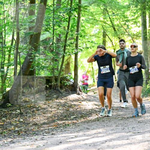 28.09.2025 - 33. Volkslauf durch das schöne Alstertal Dr. Thomas Lammeyer http://msf.ph/oto/8962751 28.09.2025 11:12:29 Laufen 3022, 3023, 3217 meine-sportfotos.de