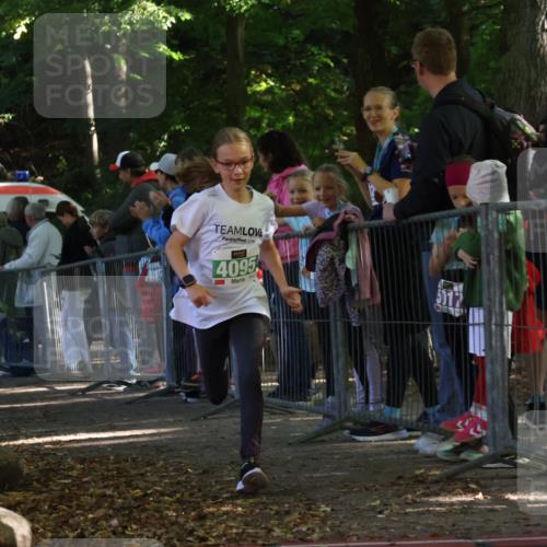 28.09.2025 - 33. Volkslauf durch das schöne Alstertal Strokosch-Dieckow http://msf.ph/oto/8962755 28.09.2025 10:58:44 Ziel 4095 meine-sportfotos.de