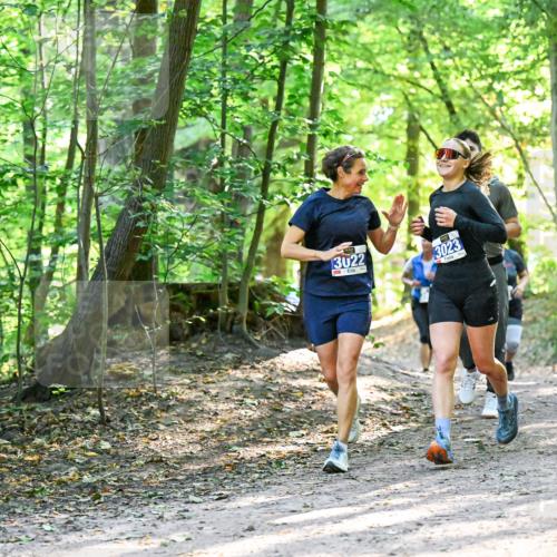 28.09.2025 - 33. Volkslauf durch das schöne Alstertal Dr. Thomas Lammeyer http://msf.ph/oto/8962756 28.09.2025 11:12:30 Laufen 3022, 4, 3023 meine-sportfotos.de