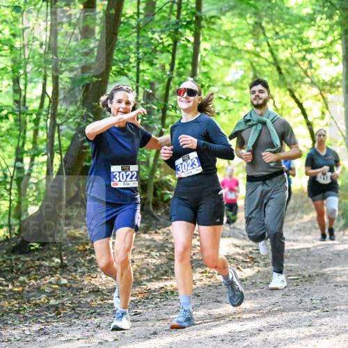 28.09.2025 - 33. Volkslauf durch das schöne Alstertal Dr. Thomas Lammeyer http://msf.ph/oto/8962761 28.09.2025 11:12:31 Laufen 13022, 3023 meine-sportfotos.de