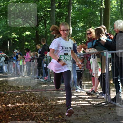 28.09.2025 - 33. Volkslauf durch das schöne Alstertal Strokosch-Dieckow http://msf.ph/oto/8962765 28.09.2025 10:58:45 Ziel 4095 meine-sportfotos.de