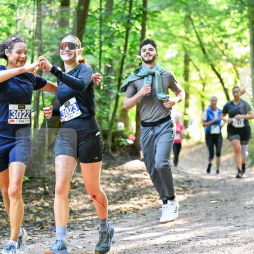 28.09.2025 - 33. Volkslauf durch das schöne Alstertal Dr. Thomas Lammeyer http://msf.ph/oto/8962766 28.09.2025 11:12:31 Laufen 13022, 1, 3023 meine-sportfotos.de