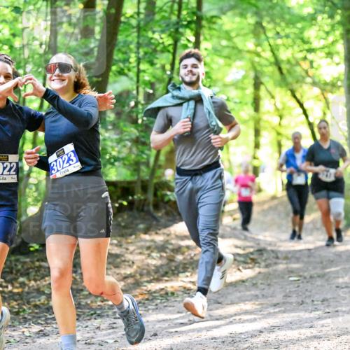 28.09.2025 - 33. Volkslauf durch das schöne Alstertal Dr. Thomas Lammeyer http://msf.ph/oto/8962767 28.09.2025 11:12:31 Laufen 3022, 3023 meine-sportfotos.de