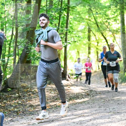 28.09.2025 - 33. Volkslauf durch das schöne Alstertal Dr. Thomas Lammeyer http://msf.ph/oto/8962768 28.09.2025 11:12:32 Laufen 3023, 3218, 3217 meine-sportfotos.de