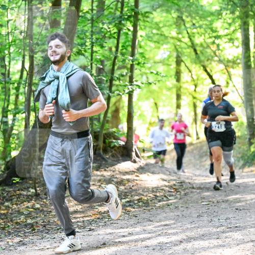 28.09.2025 - 33. Volkslauf durch das schöne Alstertal Dr. Thomas Lammeyer http://msf.ph/oto/8962769 28.09.2025 11:12:32 Laufen 3217 meine-sportfotos.de