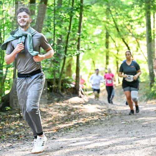 28.09.2025 - 33. Volkslauf durch das schöne Alstertal Dr. Thomas Lammeyer http://msf.ph/oto/8962770 28.09.2025 11:12:32 Laufen  meine-sportfotos.de