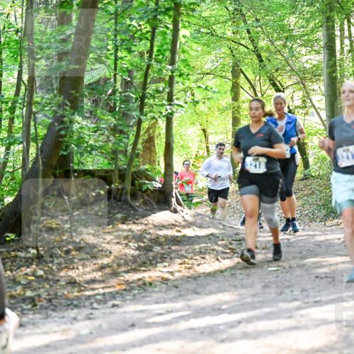 28.09.2025 - 33. Volkslauf durch das schöne Alstertal Dr. Thomas Lammeyer http://msf.ph/oto/8962771 28.09.2025 11:12:32 Laufen  meine-sportfotos.de