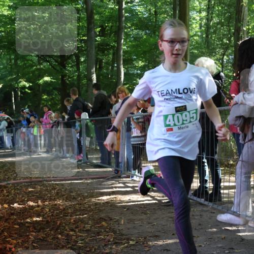 28.09.2025 - 33. Volkslauf durch das schöne Alstertal Strokosch-Dieckow http://msf.ph/oto/8962772 28.09.2025 10:58:45 Ziel 4095 meine-sportfotos.de