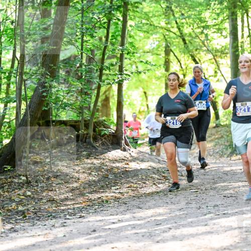 28.09.2025 - 33. Volkslauf durch das schöne Alstertal Dr. Thomas Lammeyer http://msf.ph/oto/8962773 28.09.2025 11:12:33 Laufen 3218, 3404, 3217 meine-sportfotos.de