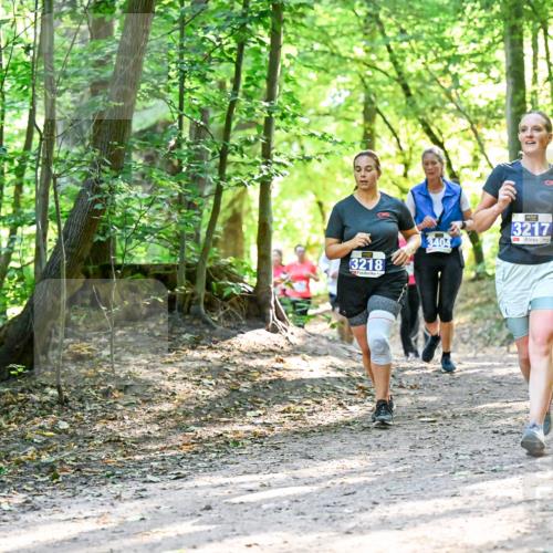 28.09.2025 - 33. Volkslauf durch das schöne Alstertal Dr. Thomas Lammeyer http://msf.ph/oto/8962774 28.09.2025 11:12:33 Laufen 3218, 3404, 3217 meine-sportfotos.de