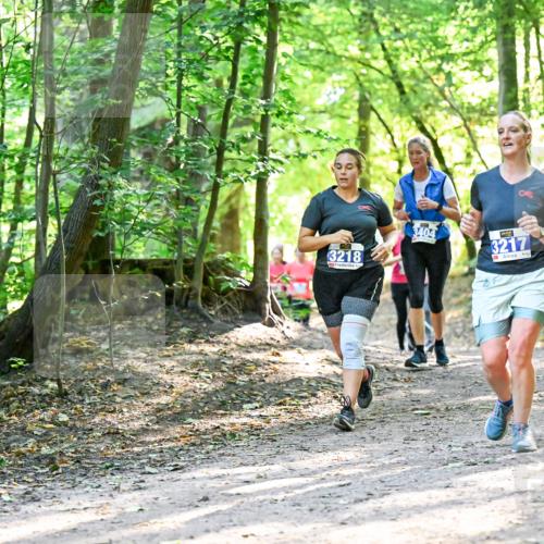 28.09.2025 - 33. Volkslauf durch das schöne Alstertal Dr. Thomas Lammeyer http://msf.ph/oto/8962775 28.09.2025 11:12:33 Laufen 3218, 3404, 3217 meine-sportfotos.de
