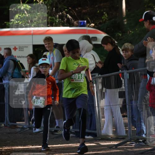 28.09.2025 - 33. Volkslauf durch das schöne Alstertal Strokosch-Dieckow http://msf.ph/oto/8962777 28.09.2025 10:58:52 Ziel 4018, 4182 meine-sportfotos.de