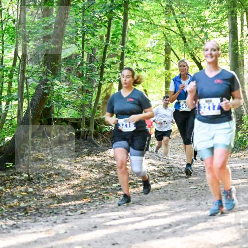 28.09.2025 - 33. Volkslauf durch das schöne Alstertal Dr. Thomas Lammeyer http://msf.ph/oto/8962779 28.09.2025 11:12:33 Laufen 3216, 3933, 340 meine-sportfotos.de