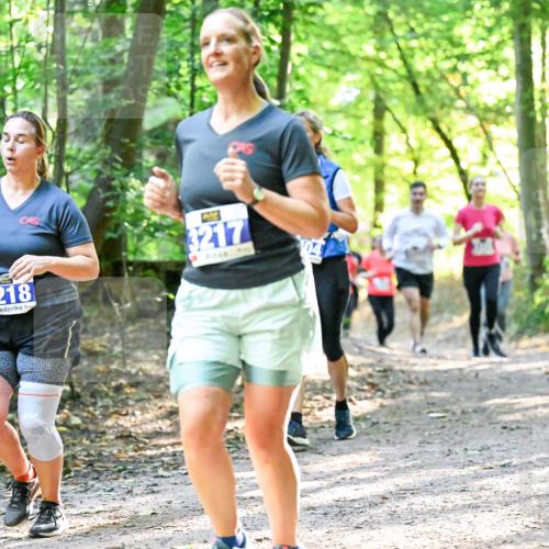 28.09.2025 - 33. Volkslauf durch das schöne Alstertal Dr. Thomas Lammeyer http://msf.ph/oto/8962788 28.09.2025 11:12:34 Laufen 3218, 3217 meine-sportfotos.de