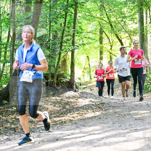 28.09.2025 - 33. Volkslauf durch das schöne Alstertal Dr. Thomas Lammeyer http://msf.ph/oto/8962790 28.09.2025 11:12:35 Laufen 3006, 3933, 3329 meine-sportfotos.de