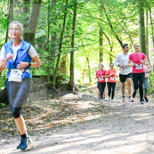 28.09.2025 - 33. Volkslauf durch das schöne Alstertal Dr. Thomas Lammeyer http://msf.ph/oto/8962791 28.09.2025 11:12:35 Laufen 3006, 1404, 3933, 3329 meine-sportfotos.de