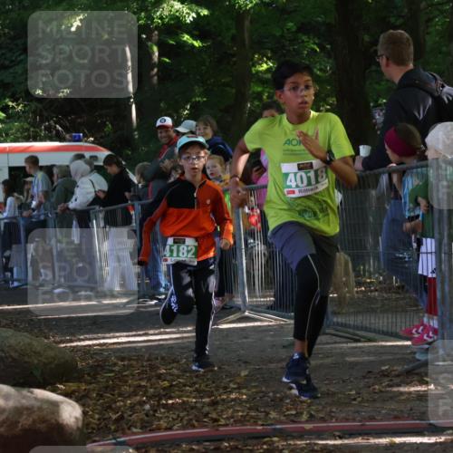 28.09.2025 - 33. Volkslauf durch das schöne Alstertal Strokosch-Dieckow http://msf.ph/oto/8962792 28.09.2025 10:58:54 Ziel 4018, 4182 meine-sportfotos.de