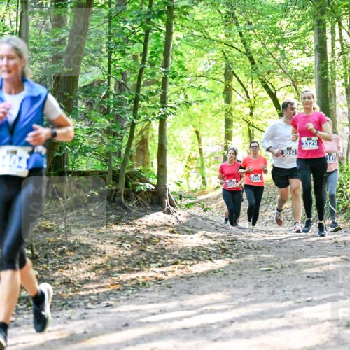 28.09.2025 - 33. Volkslauf durch das schöne Alstertal Dr. Thomas Lammeyer http://msf.ph/oto/8962793 28.09.2025 11:12:36 Laufen 3006, 3933, 3329, 141 meine-sportfotos.de