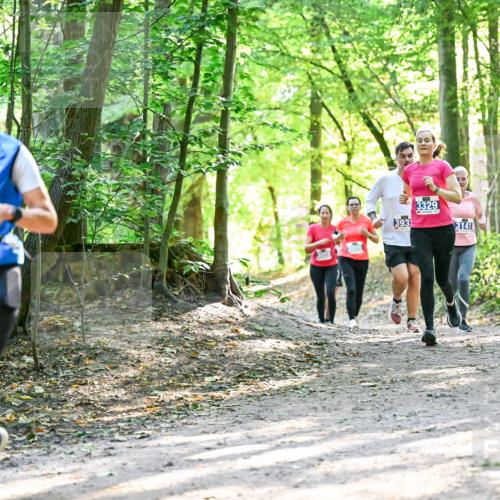 28.09.2025 - 33. Volkslauf durch das schöne Alstertal Dr. Thomas Lammeyer http://msf.ph/oto/8962794 28.09.2025 11:12:36 Laufen 3404, 3006, 393, 3329 meine-sportfotos.de