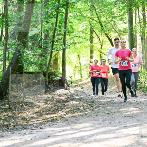 28.09.2025 - 33. Volkslauf durch das schöne Alstertal Dr. Thomas Lammeyer http://msf.ph/oto/8962795 28.09.2025 11:12:36 Laufen 404, 3059, 3006, 3329, 3141 meine-sportfotos.de