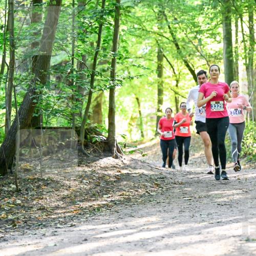 28.09.2025 - 33. Volkslauf durch das schöne Alstertal Dr. Thomas Lammeyer http://msf.ph/oto/8962796 28.09.2025 11:12:36 Laufen 3329, 39, 3141 meine-sportfotos.de