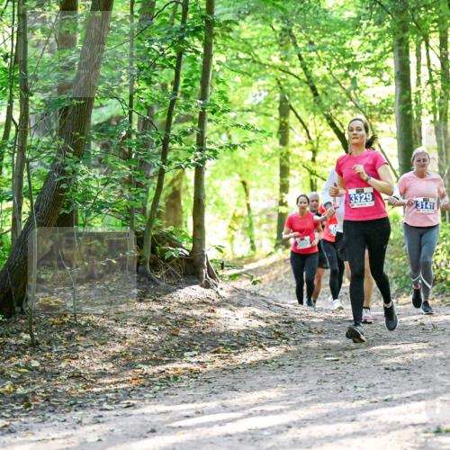 28.09.2025 - 33. Volkslauf durch das schöne Alstertal Dr. Thomas Lammeyer http://msf.ph/oto/8962797 28.09.2025 11:12:36 Laufen 3329, 3141 meine-sportfotos.de