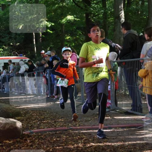 28.09.2025 - 33. Volkslauf durch das schöne Alstertal Strokosch-Dieckow http://msf.ph/oto/8962798 28.09.2025 10:58:54 Ziel 4018, 4182 meine-sportfotos.de