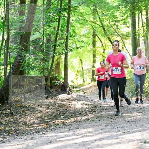 28.09.2025 - 33. Volkslauf durch das schöne Alstertal Dr. Thomas Lammeyer http://msf.ph/oto/8962799 28.09.2025 11:12:37 Laufen 3329, 3141 meine-sportfotos.de