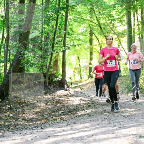28.09.2025 - 33. Volkslauf durch das schöne Alstertal Dr. Thomas Lammeyer http://msf.ph/oto/8962800 28.09.2025 11:12:37 Laufen 3329, 3141 meine-sportfotos.de