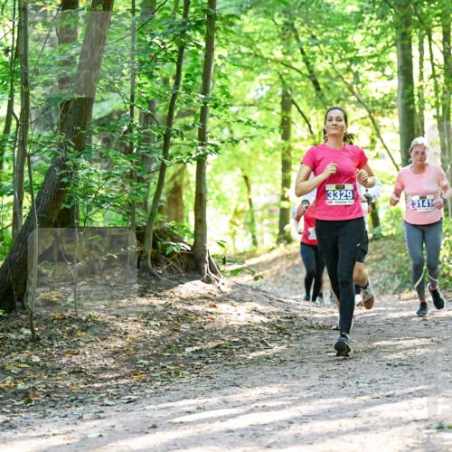 28.09.2025 - 33. Volkslauf durch das schöne Alstertal Dr. Thomas Lammeyer http://msf.ph/oto/8962801 28.09.2025 11:12:37 Laufen 3329, 3141 meine-sportfotos.de