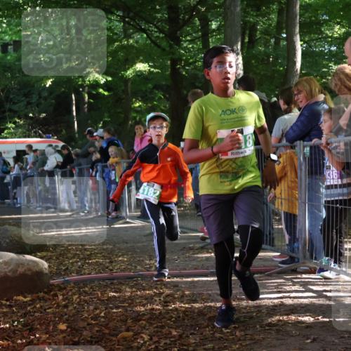 28.09.2025 - 33. Volkslauf durch das schöne Alstertal Strokosch-Dieckow http://msf.ph/oto/8962803 28.09.2025 10:58:55 Ziel 4018, 4121, 4182 meine-sportfotos.de