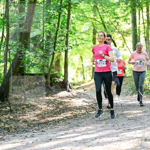 28.09.2025 - 33. Volkslauf durch das schöne Alstertal Dr. Thomas Lammeyer http://msf.ph/oto/8962804 28.09.2025 11:12:37 Laufen 3329, 3141 meine-sportfotos.de
