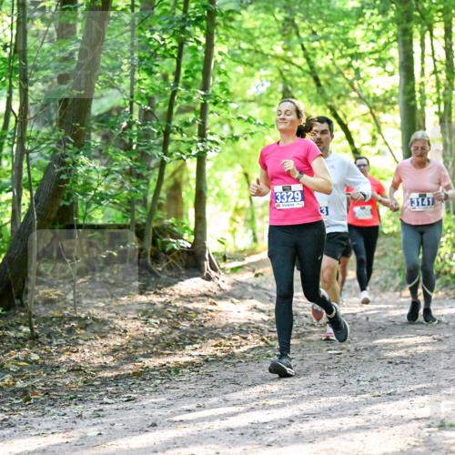 28.09.2025 - 33. Volkslauf durch das schöne Alstertal Dr. Thomas Lammeyer http://msf.ph/oto/8962805 28.09.2025 11:12:37 Laufen 3329, 3, 3141 meine-sportfotos.de
