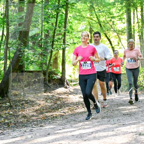 28.09.2025 - 33. Volkslauf durch das schöne Alstertal Dr. Thomas Lammeyer http://msf.ph/oto/8962806 28.09.2025 11:12:37 Laufen 3329, 3006, 3141 meine-sportfotos.de