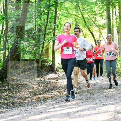 28.09.2025 - 33. Volkslauf durch das schöne Alstertal Dr. Thomas Lammeyer http://msf.ph/oto/8962807 28.09.2025 11:12:37 Laufen 3329, 033, 059, 300, 3141 meine-sportfotos.de