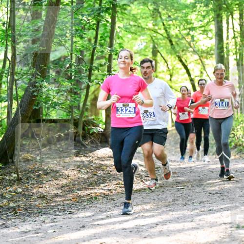 28.09.2025 - 33. Volkslauf durch das schöne Alstertal Dr. Thomas Lammeyer http://msf.ph/oto/8962808 28.09.2025 11:12:38 Laufen 3329, 8933, 3006, 13141 meine-sportfotos.de