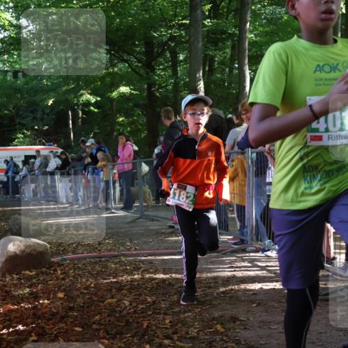 28.09.2025 - 33. Volkslauf durch das schöne Alstertal Strokosch-Dieckow http://msf.ph/oto/8962809 28.09.2025 10:58:56 Ziel 4018, 4121, 4182 meine-sportfotos.de