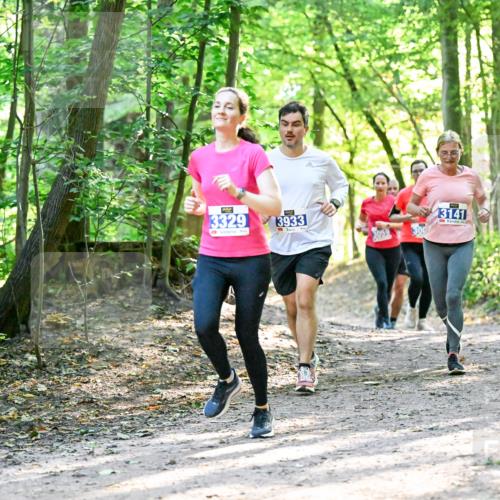 28.09.2025 - 33. Volkslauf durch das schöne Alstertal Dr. Thomas Lammeyer http://msf.ph/oto/8962810 28.09.2025 11:12:38 Laufen 3329, 3933, 3059, 3141 meine-sportfotos.de