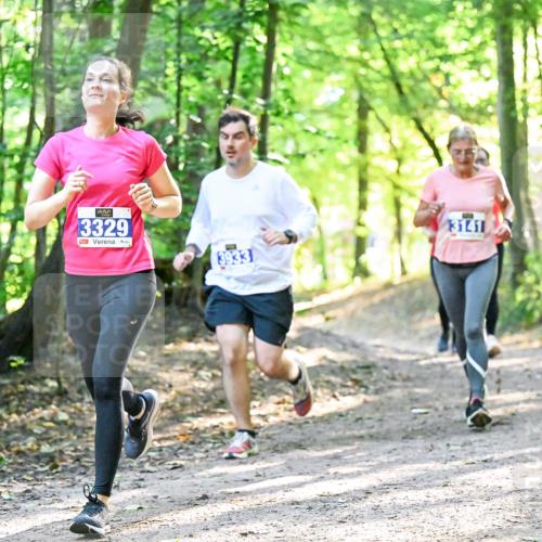 28.09.2025 - 33. Volkslauf durch das schöne Alstertal Dr. Thomas Lammeyer http://msf.ph/oto/8962813 28.09.2025 11:12:38 Laufen 3329, 3933, 3141 meine-sportfotos.de