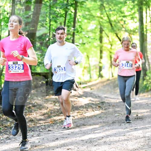 28.09.2025 - 33. Volkslauf durch das schöne Alstertal Dr. Thomas Lammeyer http://msf.ph/oto/8962814 28.09.2025 11:12:38 Laufen 3329, 3933, 43141 meine-sportfotos.de