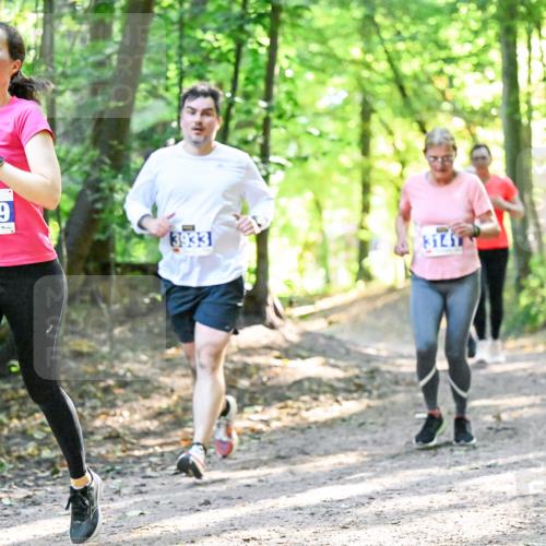 28.09.2025 - 33. Volkslauf durch das schöne Alstertal Dr. Thomas Lammeyer http://msf.ph/oto/8962815 28.09.2025 11:12:39 Laufen 3329, 3933, 3141 meine-sportfotos.de