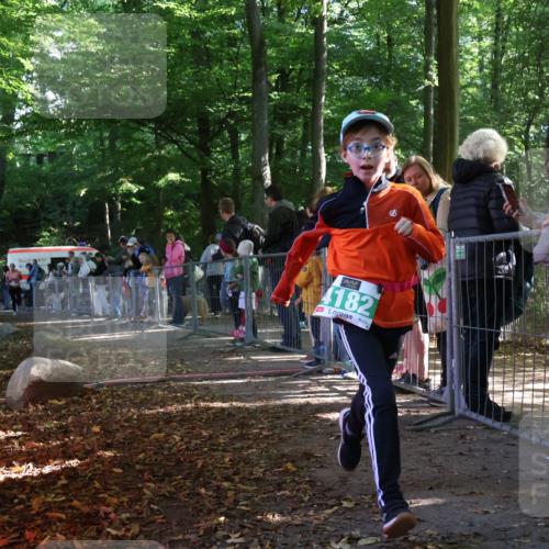28.09.2025 - 33. Volkslauf durch das schöne Alstertal Strokosch-Dieckow http://msf.ph/oto/8962816 28.09.2025 10:58:56 Ziel 4018, 4121, 4182 meine-sportfotos.de