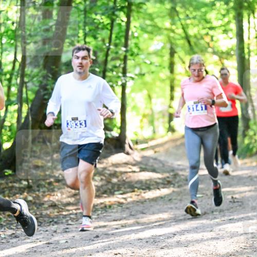 28.09.2025 - 33. Volkslauf durch das schöne Alstertal Dr. Thomas Lammeyer http://msf.ph/oto/8962817 28.09.2025 11:12:39 Laufen 3329, 3141, 3933 meine-sportfotos.de
