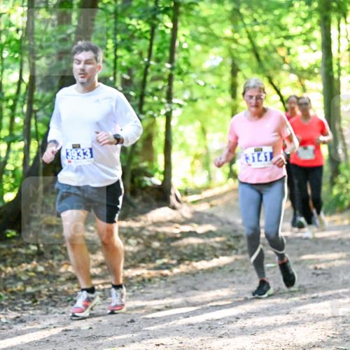 28.09.2025 - 33. Volkslauf durch das schöne Alstertal Dr. Thomas Lammeyer http://msf.ph/oto/8962818 28.09.2025 11:12:39 Laufen 29, 3933, 3141 meine-sportfotos.de