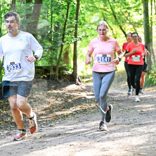 28.09.2025 - 33. Volkslauf durch das schöne Alstertal Dr. Thomas Lammeyer http://msf.ph/oto/8962819 28.09.2025 11:12:39 Laufen 3933, 13141, 3006 meine-sportfotos.de