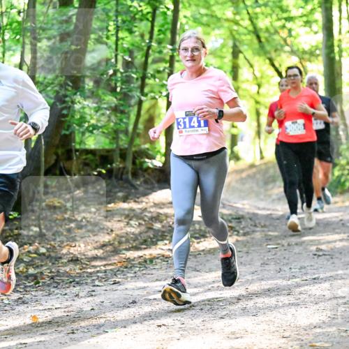 28.09.2025 - 33. Volkslauf durch das schöne Alstertal Dr. Thomas Lammeyer http://msf.ph/oto/8962821 28.09.2025 11:12:39 Laufen 3933, 314, 3006 meine-sportfotos.de