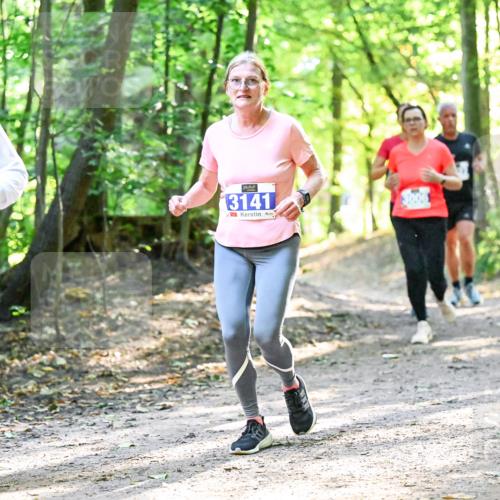28.09.2025 - 33. Volkslauf durch das schöne Alstertal Dr. Thomas Lammeyer http://msf.ph/oto/8962823 28.09.2025 11:12:40 Laufen 7, 3933, 3141 meine-sportfotos.de