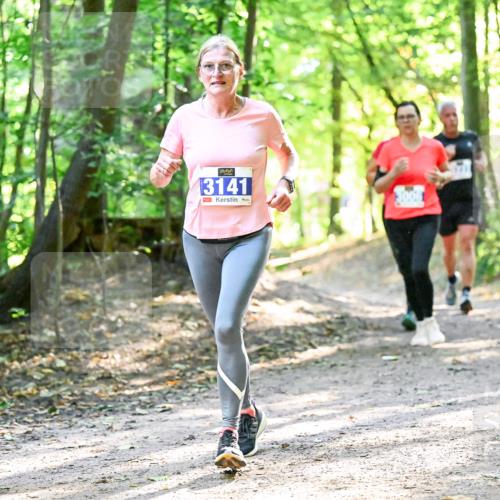 28.09.2025 - 33. Volkslauf durch das schöne Alstertal Dr. Thomas Lammeyer http://msf.ph/oto/8962824 28.09.2025 11:12:40 Laufen 3141 meine-sportfotos.de